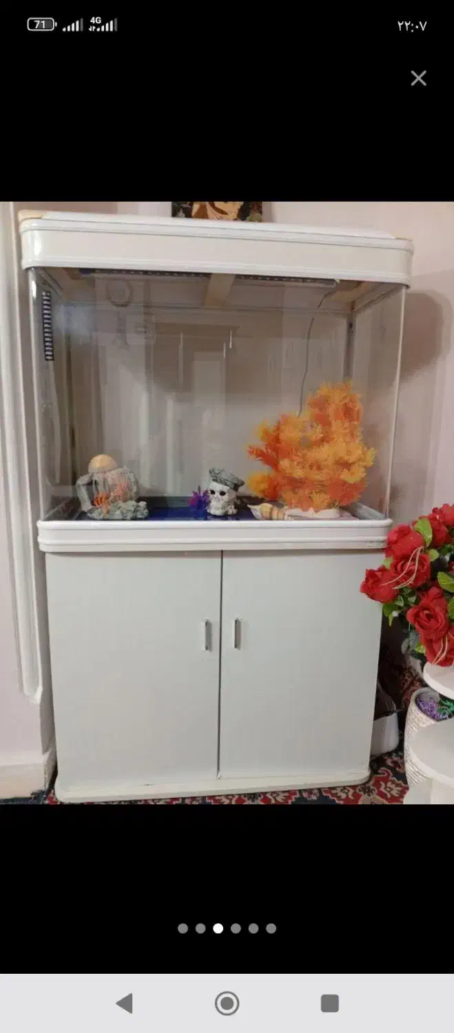 اکواریوم|ماهی|ایلام, |دیوار