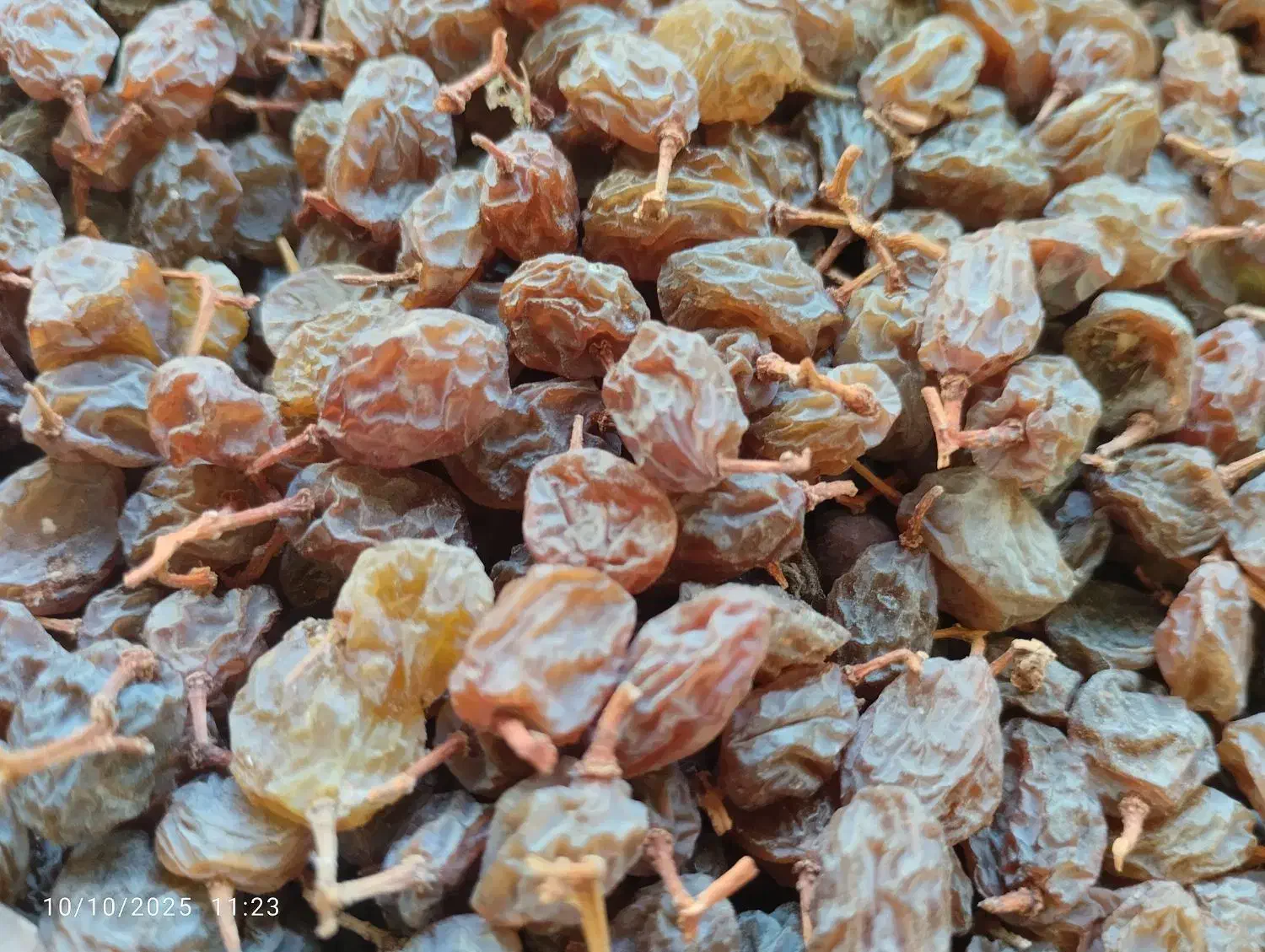 کشمش|خوردنی و آشامیدنی|صائین قلعه, |دیوار