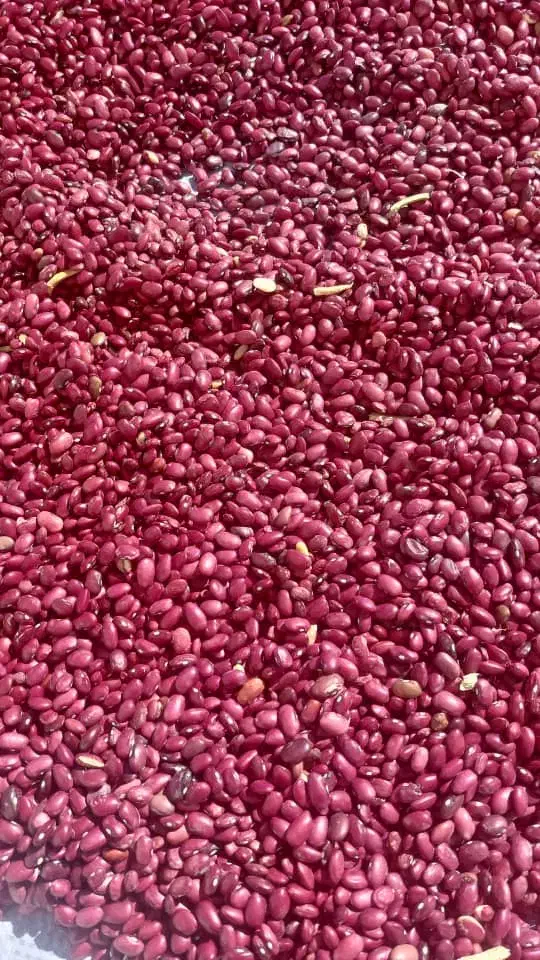 فروش جزئی انجیر گردو حبوبات کشمش افتابی مویز|خوردنی و آشامیدنی|یزد, |دیوار