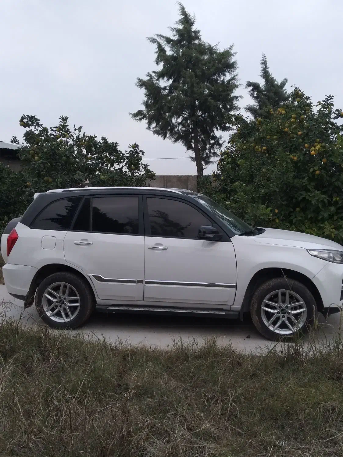 MVM X33 AT|خودرو سواری و وانت|گرگان, |دیوار