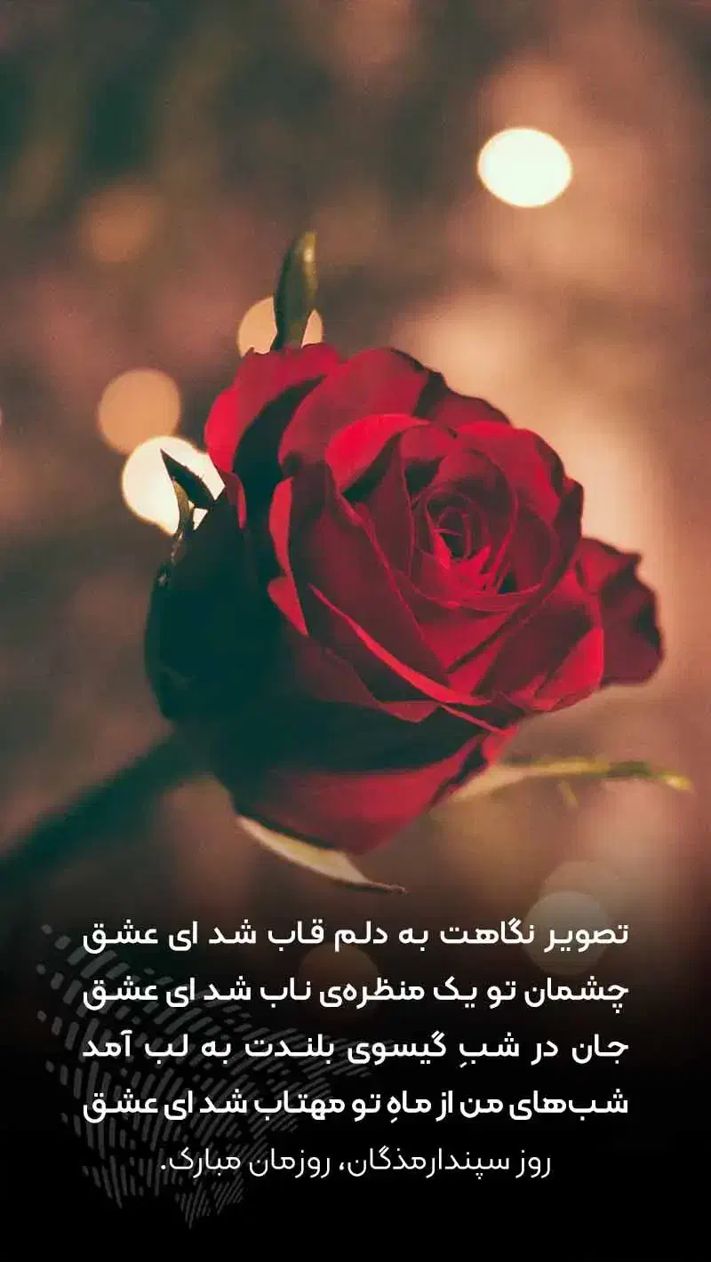راهنمای|فعالیت داوطلبانه|رشت, استقامت ۱|دیوار
