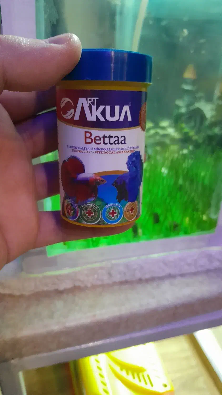 انواع غذا و دارو|ماهی|اردبیل, |دیوار