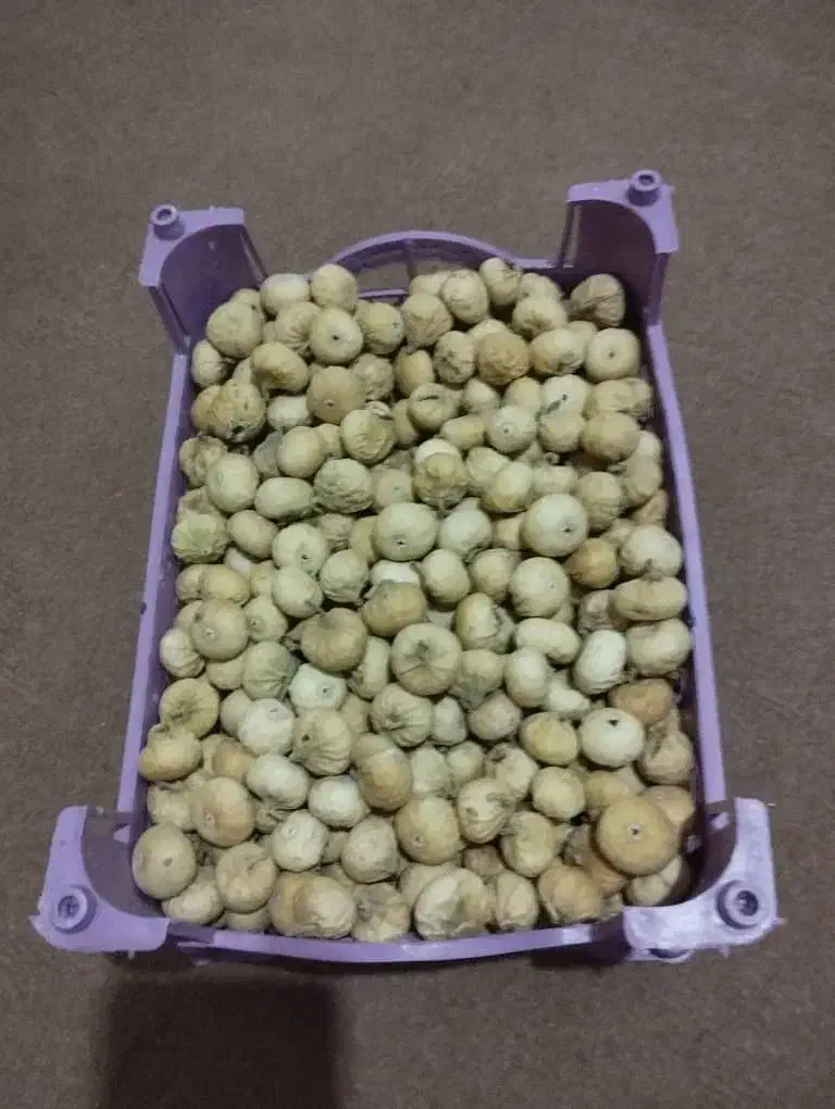 فروش خورده و عمده انجیر مرغوب و شیرین|خوردنی و آشامیدنی|کوهنجان, |دیوار