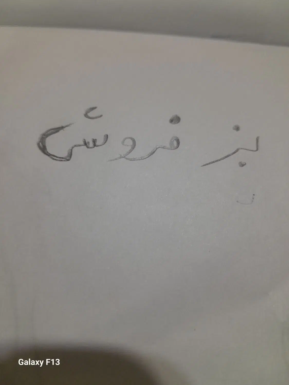 بز فروشی آبستن دوقلو زا|حیوانات مزرعه|قائن, |دیوار