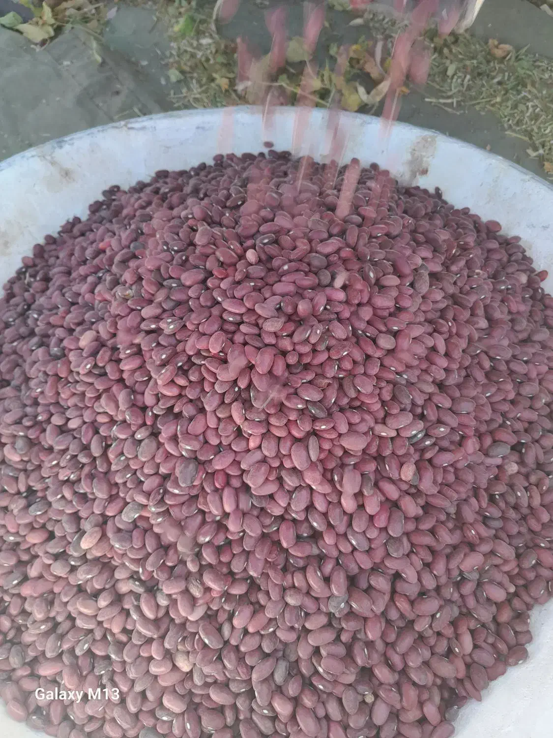 راهنمایی نخودولوبیا|فعالیت داوطلبانه|گل تپه, |دیوار