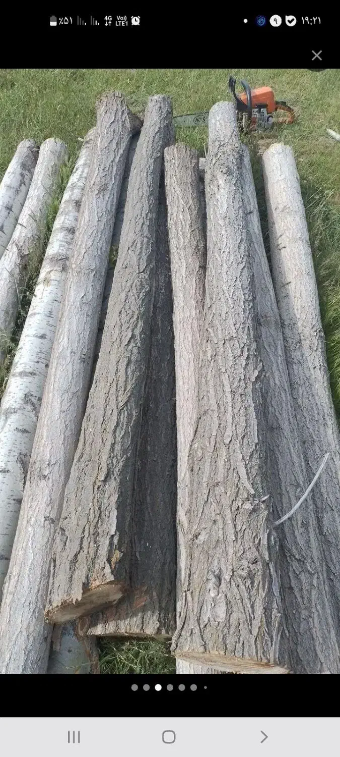 خرید انواع چوب صنوبر بید میوه|خدمات باغبانی و درختکاری|سنقر, |دیوار