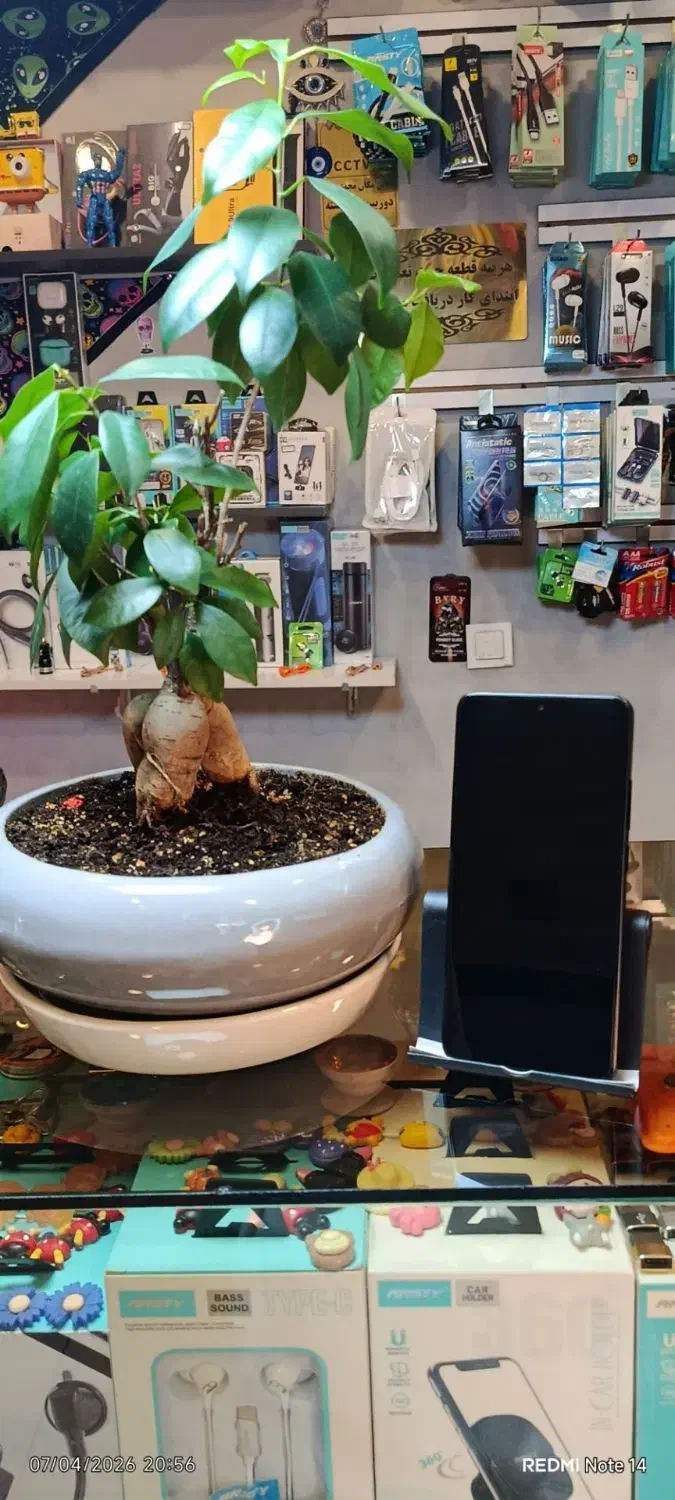 X7poro|موبایل|شیراز, بالا کفت|دیوار