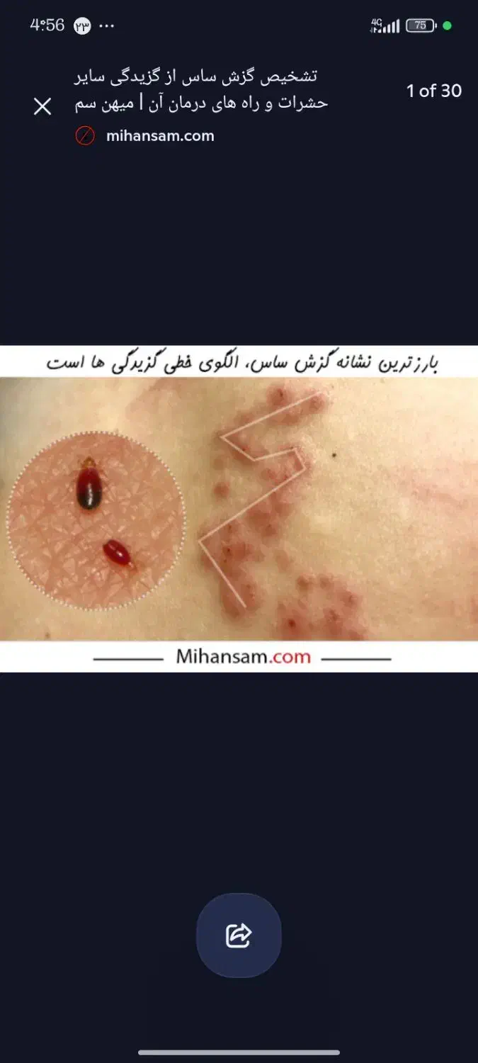 خدمات سمپاشی %100تضمینی تمام نقاط تهران|خدمات نظافت|تهران, آهنگ|دیوار