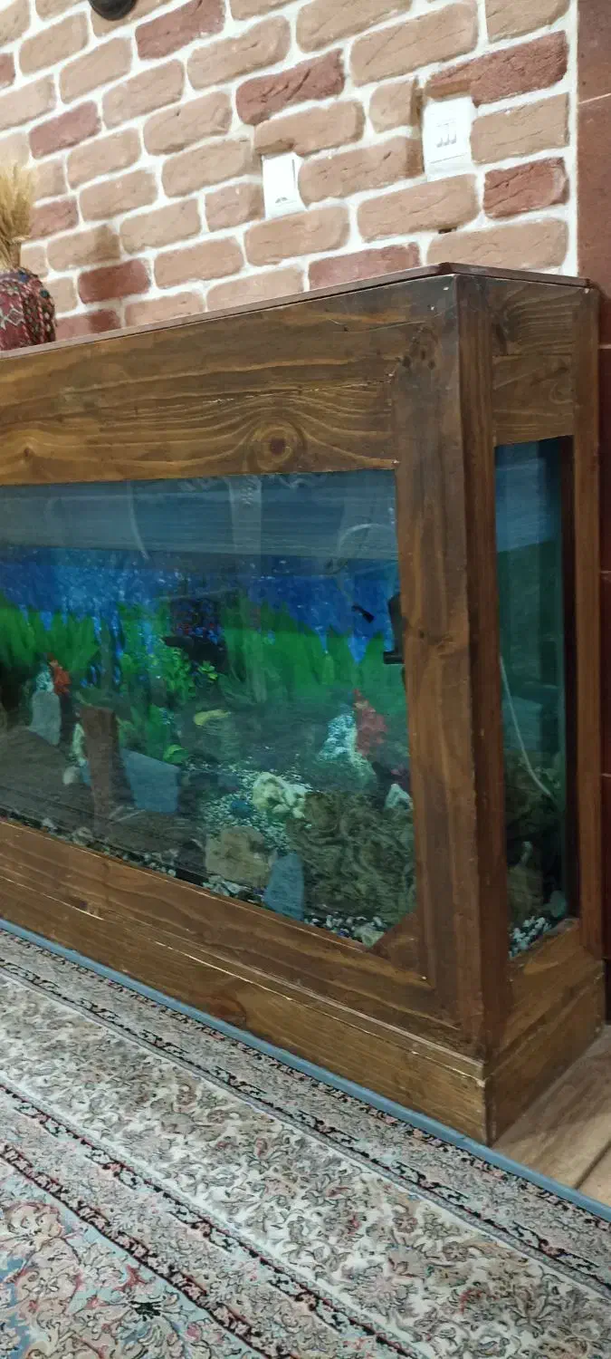 آکواریم بزرگ با میز|ماهی|صباشهر, |دیوار