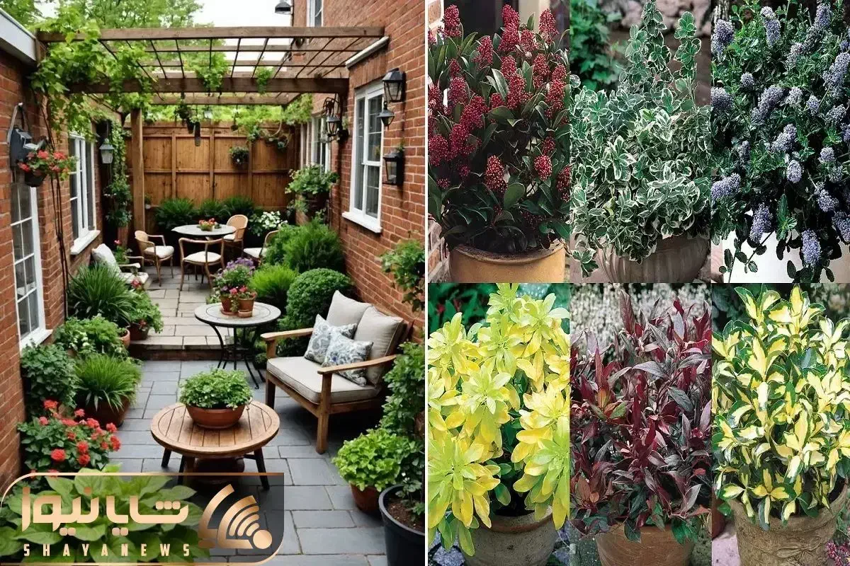 خدمات باغبانی گلکاری باغچه کاری درختکاری|خدمات باغبانی و درختکاری|شهریار, شهریار|دیوار