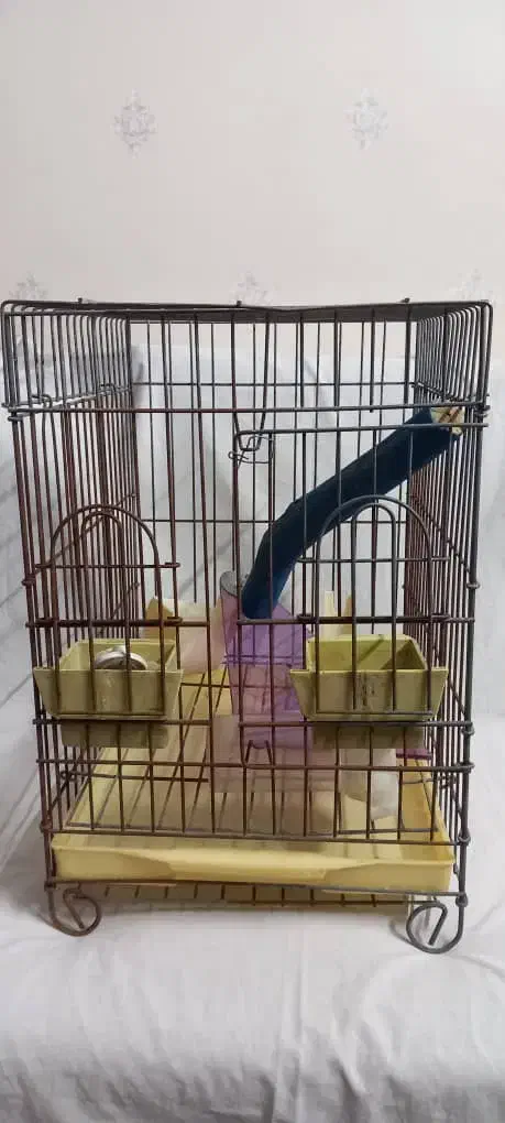 قفس طوطی|لوازم جانبی حیوانات|کرج, فاز ۴ مهرشهر|دیوار