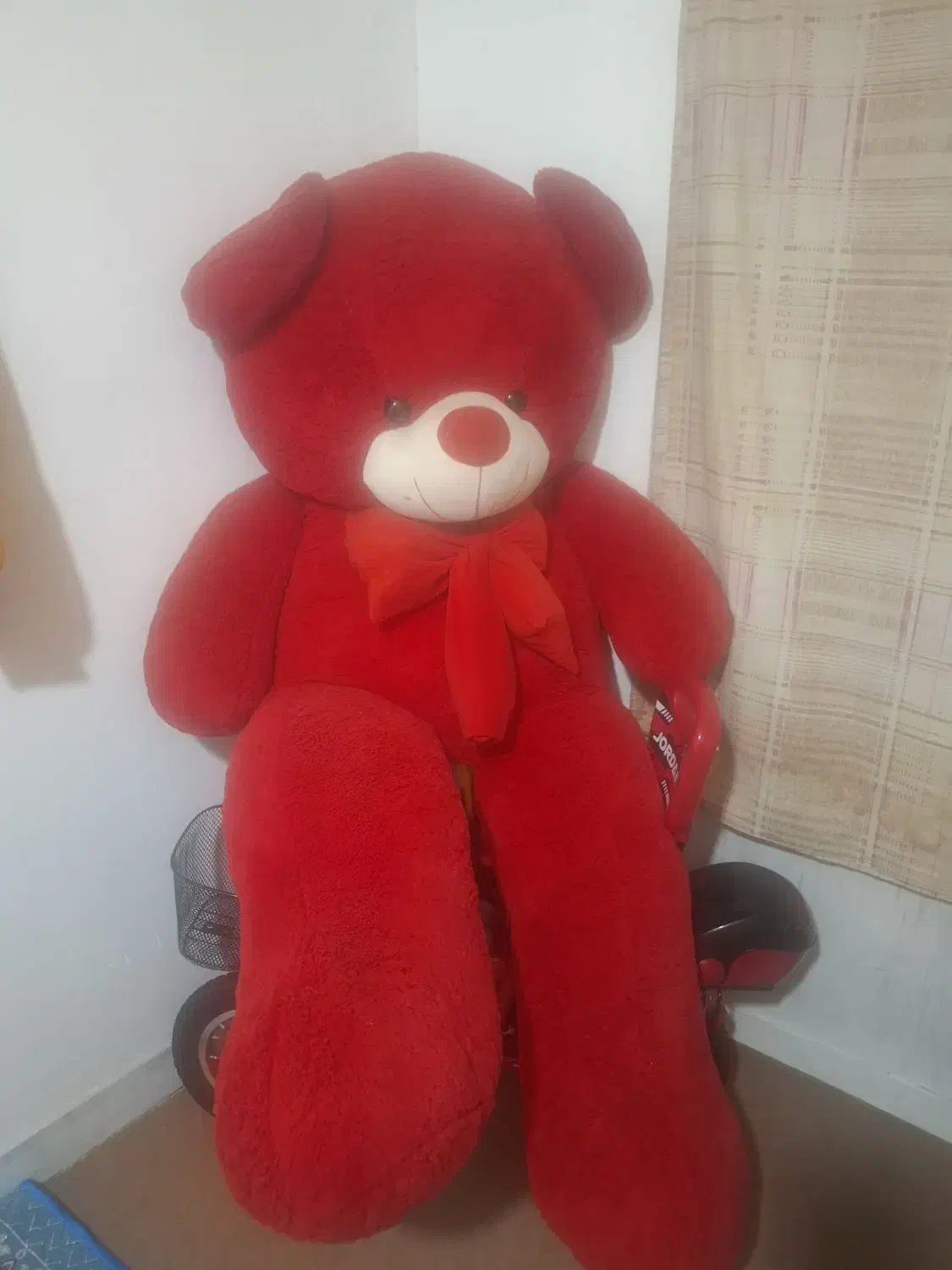 شاسخین فقط یک نیم|اسباب‌‌بازی|گنبد کاووس, |دیوار