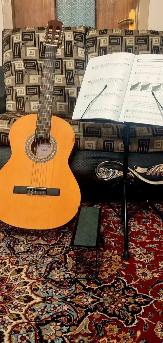 گیتار نو و خوش دست|گیتار، بیس، امپلیفایر|ری, علایین|دیوار