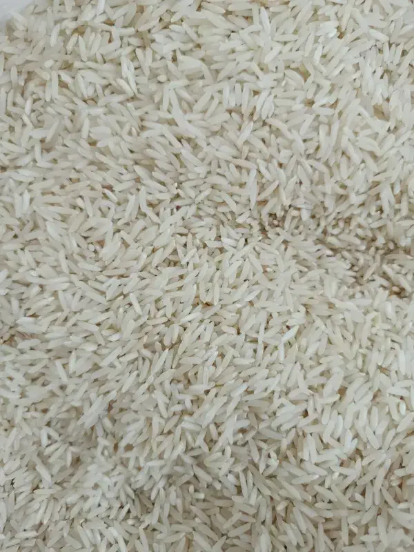 برنج تازه آسیاب شده امسال طارم فجر|خوردنی و آشامیدنی|ایلام, |دیوار