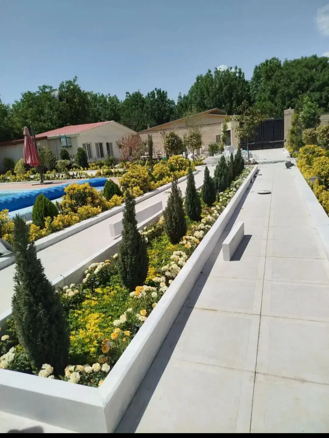 خدمات باغبانی باغچه کاری کاشت گل درختکاری هرسکاری|خدمات باغبانی و درختکاری|قدس, شهرقدس|دیوار