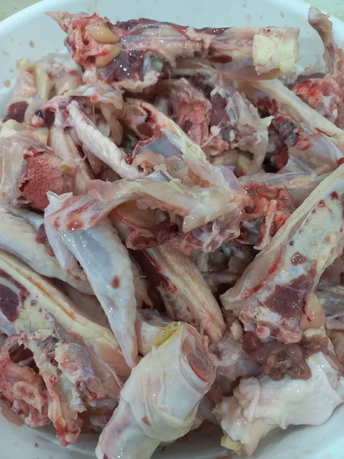 استخوان مرغ|حیوانات مزرعه|خورموج, |دیوار