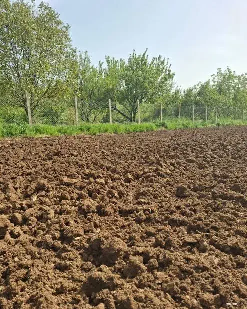 فروش زمین کشاورزی و باغی|فروش دفتر صنعتی، کشاورزی، تجاری|بهار, |دیوار