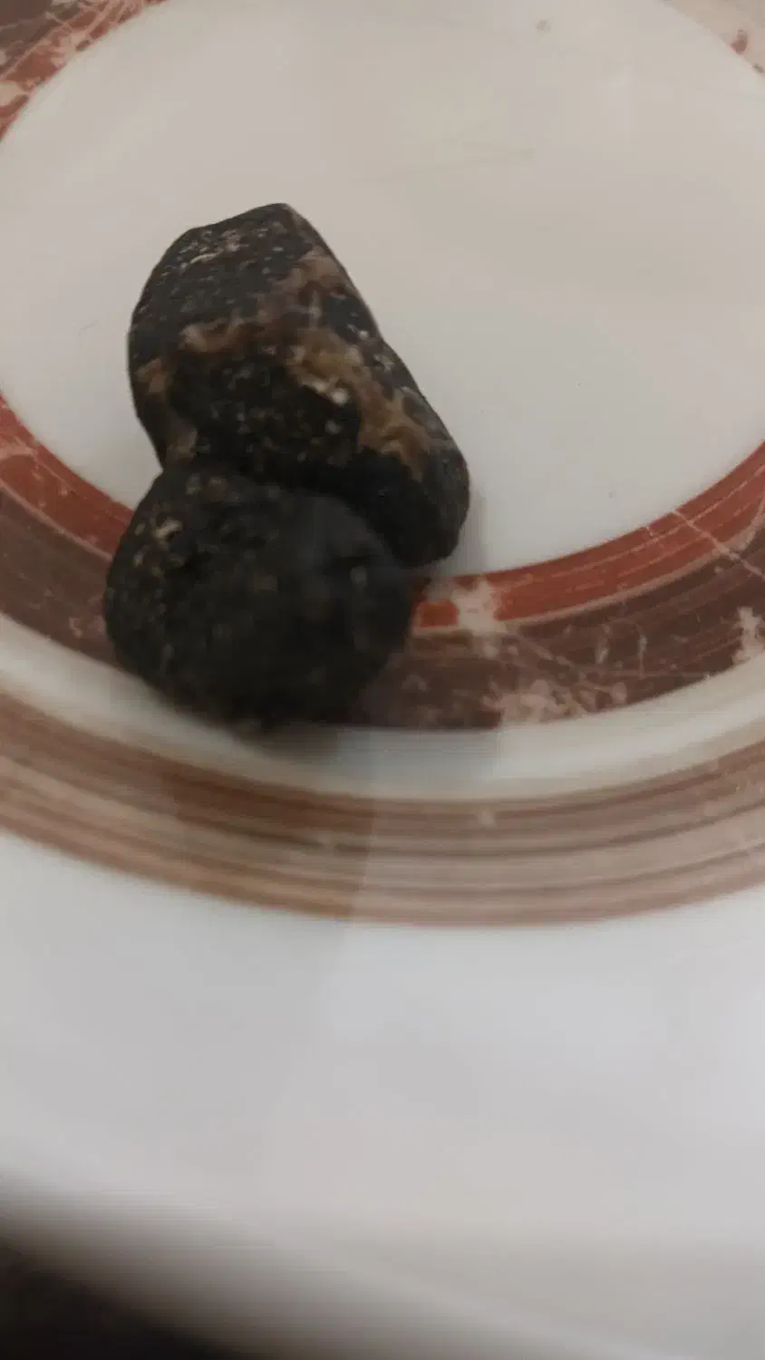 سنگ مشکوک به شهاب سنگ باجنس بسیارنرم|کلکسیون اشیاء عتیقه|ارومیه, |دیوار