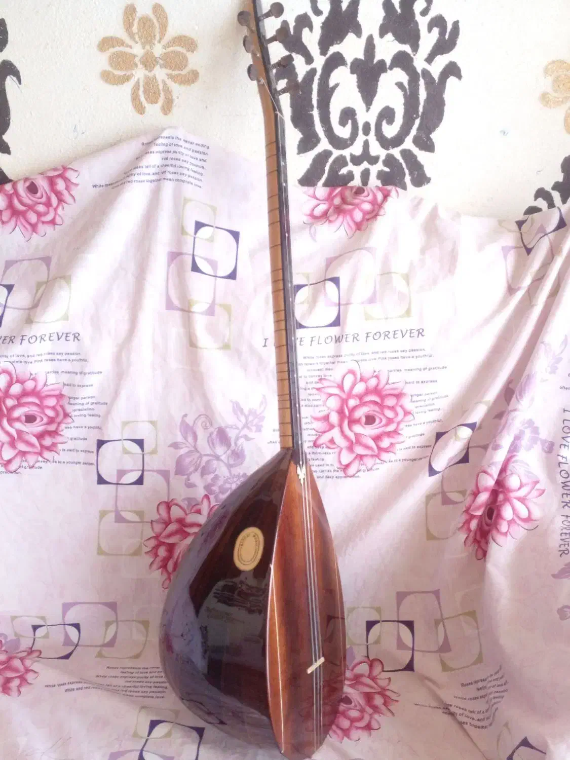 دسته بلند|سازهای سنتی|اردبیل, |دیوار