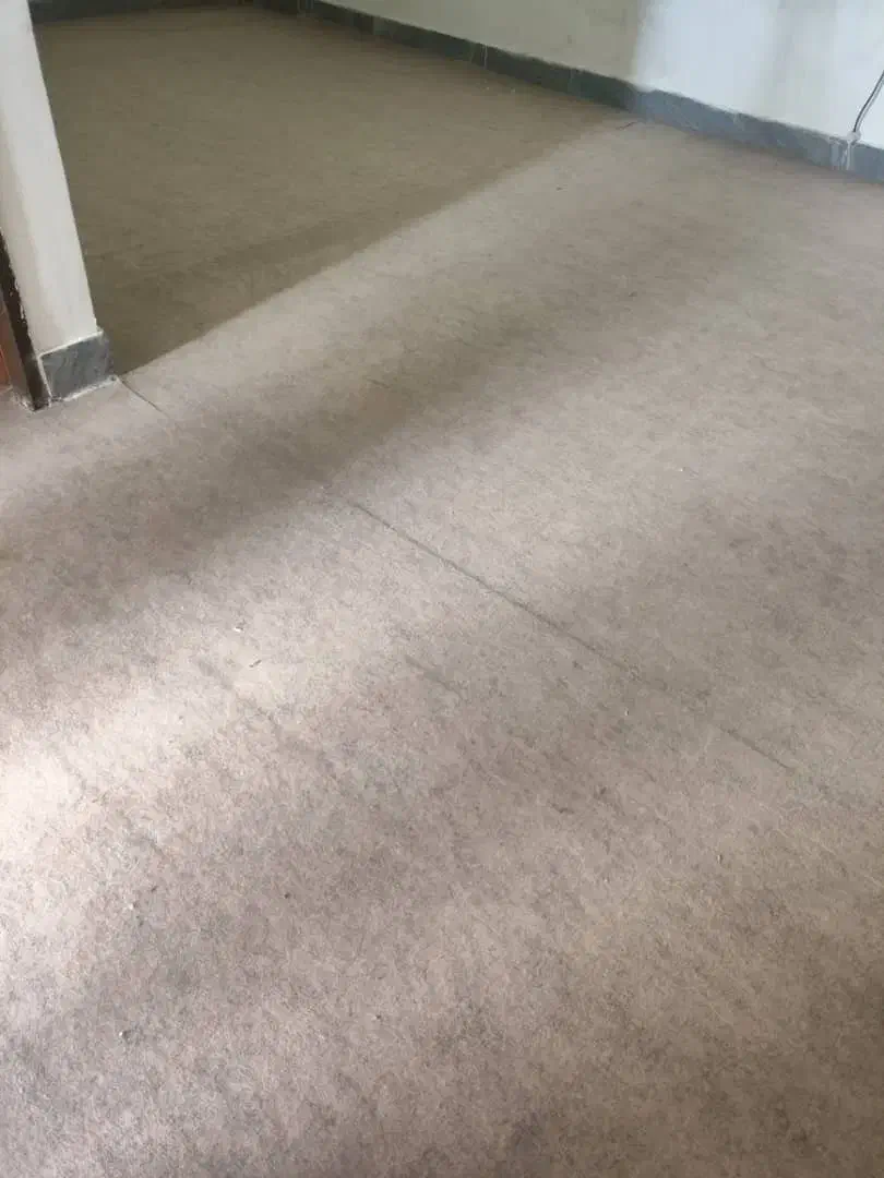 موکت|موکت|دوگنبدان, |دیوار