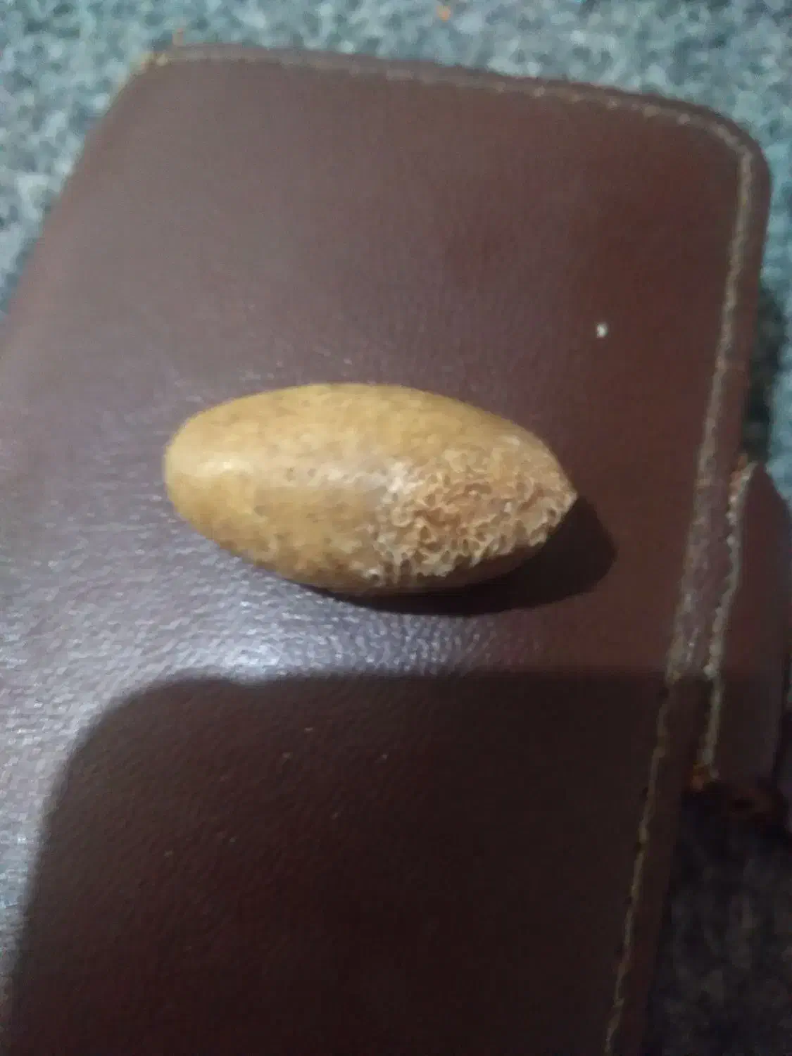 نگین|زیورآلات و اکسسوری|کرباسک, |دیوار