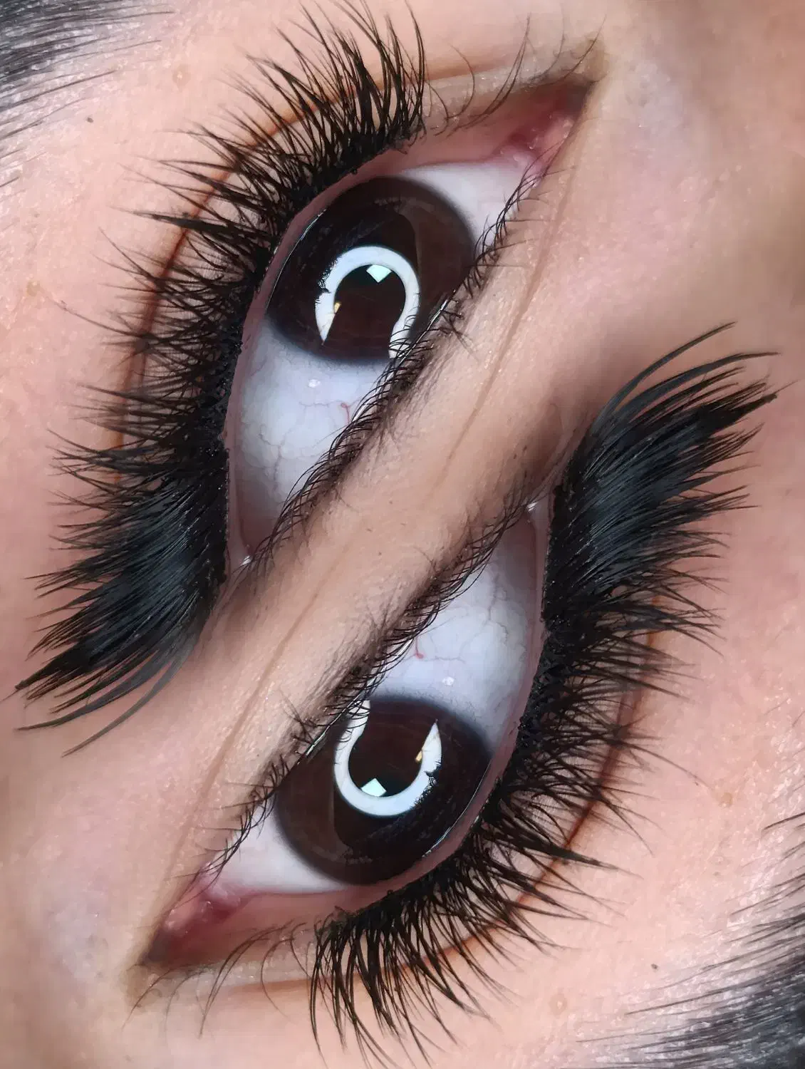 کاشت مژه و لیفت ابرو و مژه|خدمات آرایشگری و زیبایی|پردیس, فاز ۳|دیوار