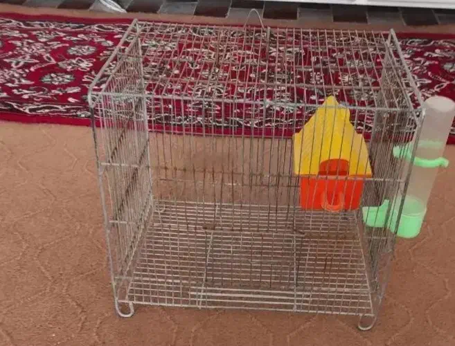 قفس پرنده|لوازم جانبی حیوانات|شاهین‌شهر, شهرک گلدیس|دیوار