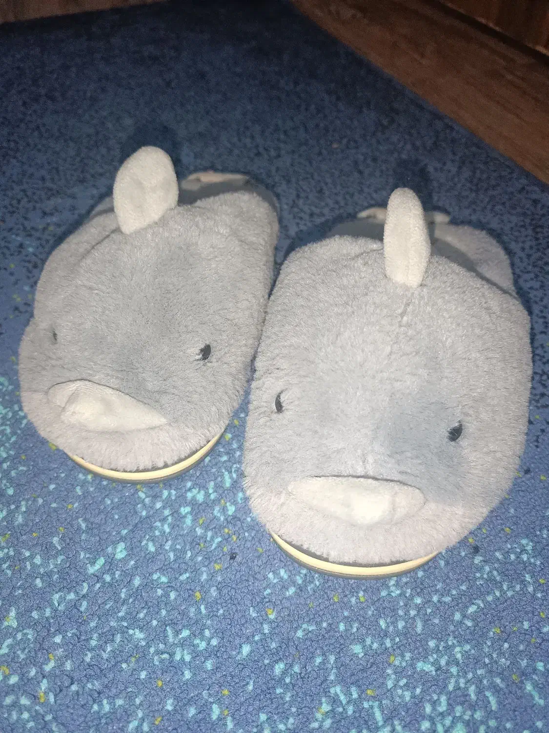 دمپایی انگشتی پاپوش حمام|کیف، کفش، کمربند|رشت, چله خانه|دیوار