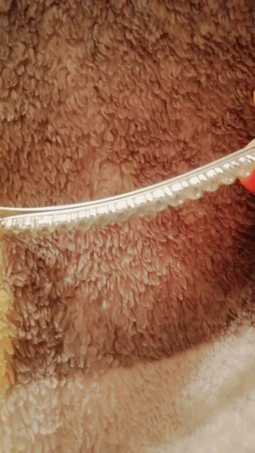 بدلیجات|بدلیجات|یاسوج, |دیوار