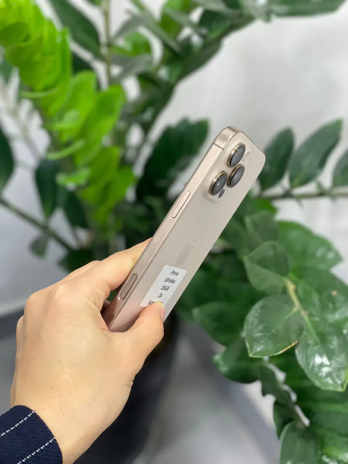 16promax|موبایل|مشهد, احمدآباد|دیوار