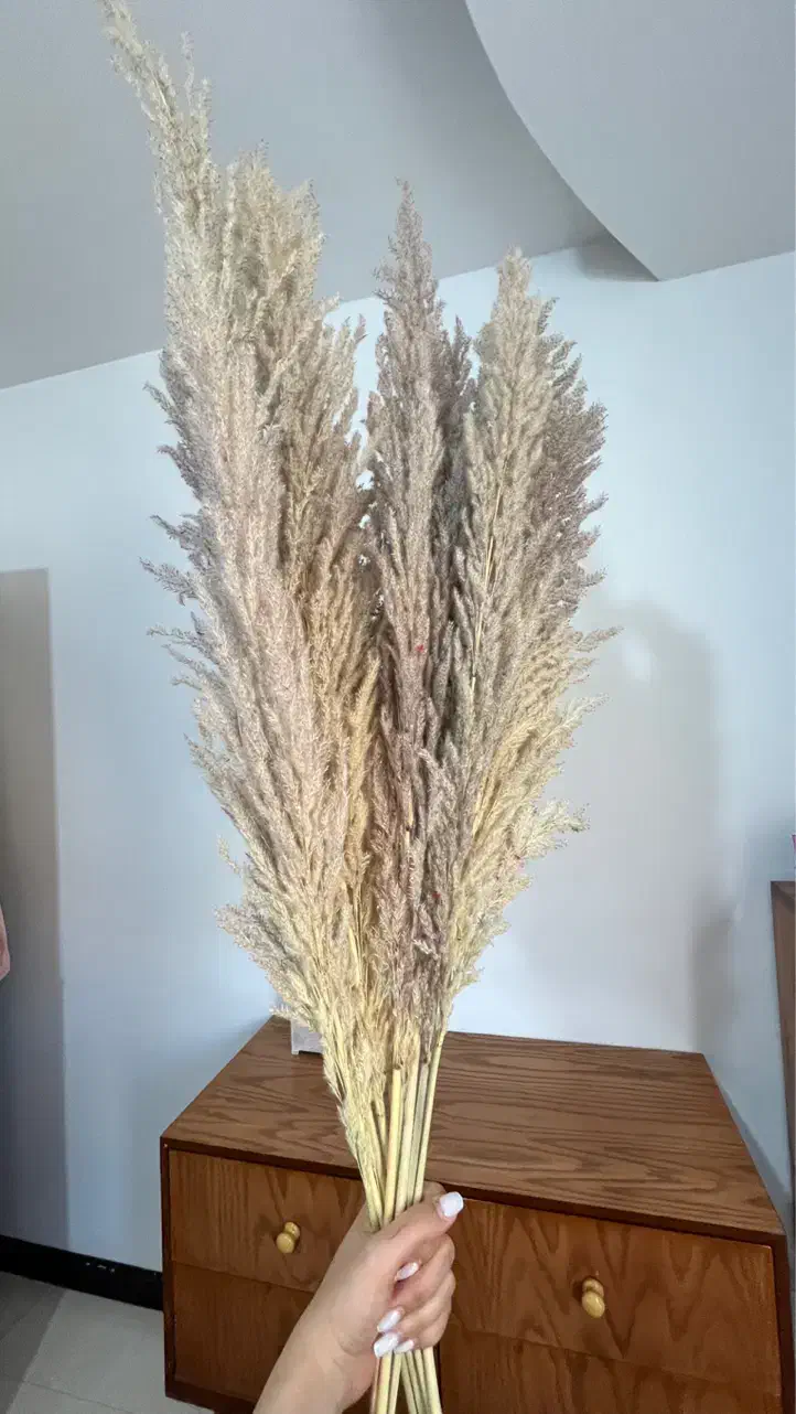 گل پامپاس|گل مصنوعی|اراک, |دیوار