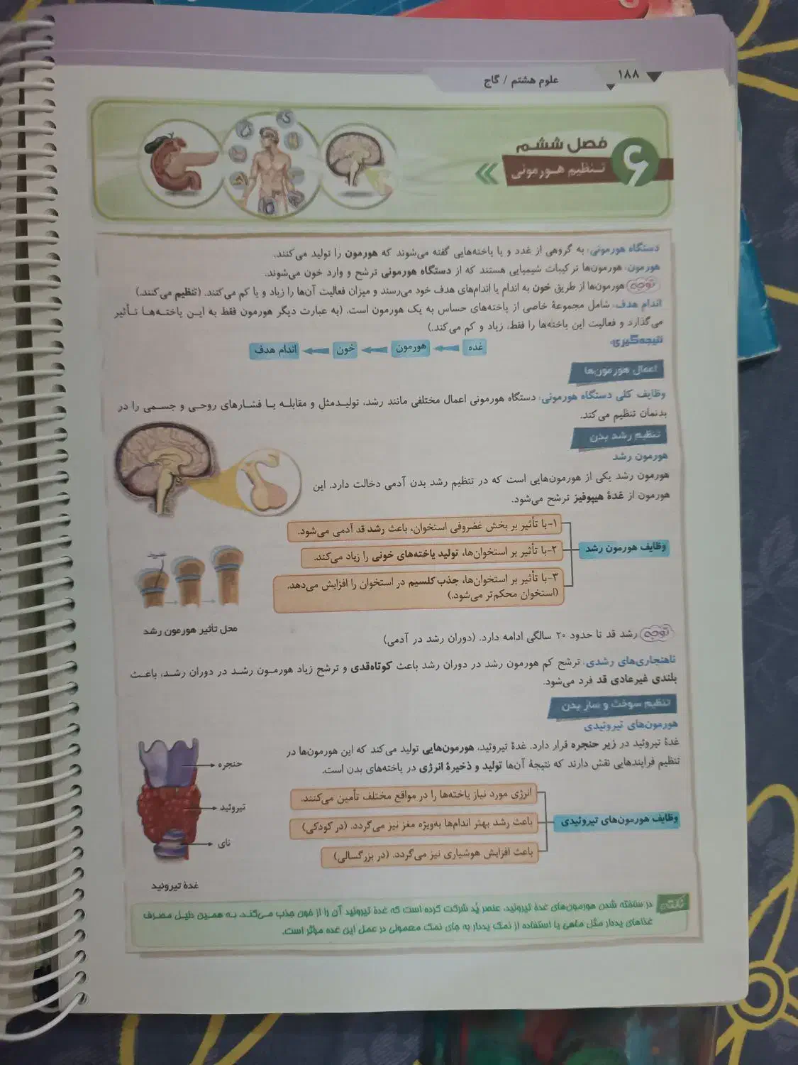 کتاب کار هشتم|کتاب و مجله آموزشی|اصفهان, رهنان|دیوار