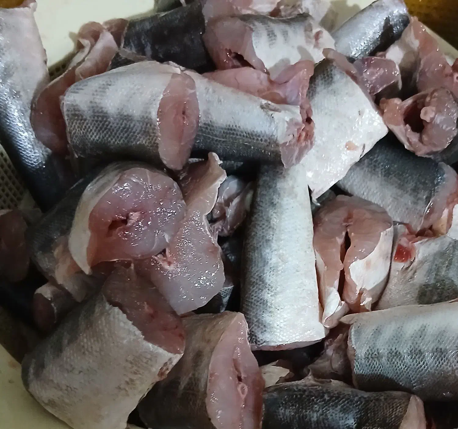 ماهی|خوردنی و آشامیدنی|داراب, |دیوار