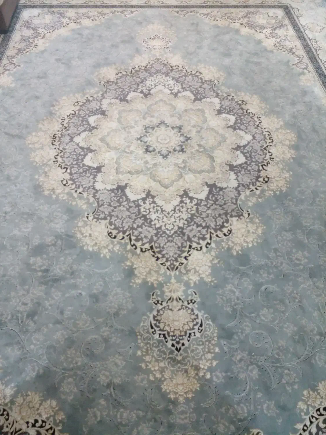 فرش دوازده متری|فرش|رشت, پل تالشان|دیوار