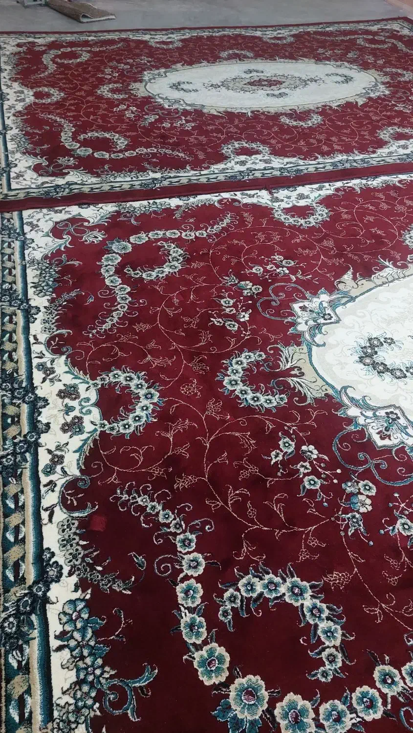 دوتا قالی|فرش|برازجان, |دیوار