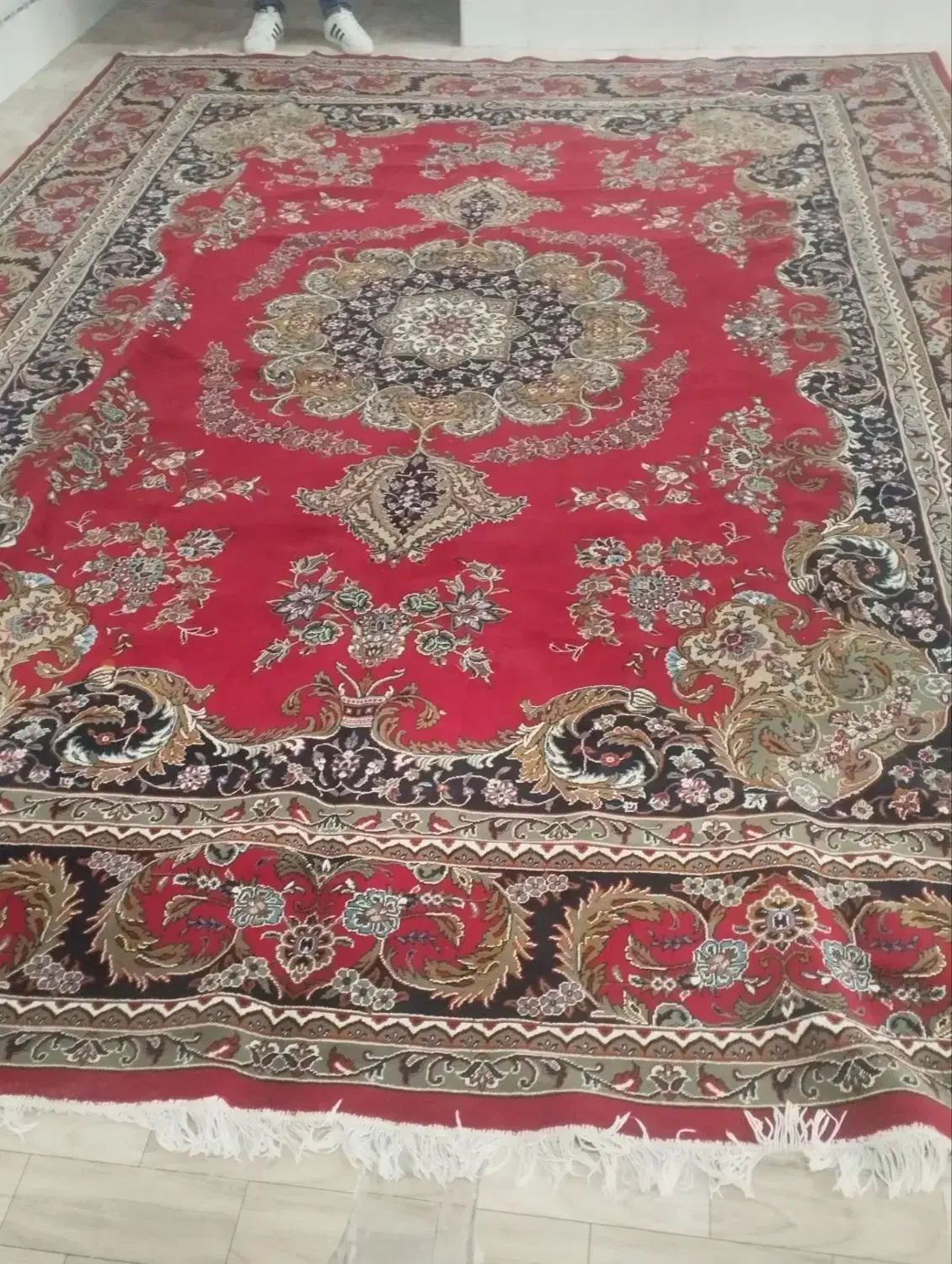 تمیز|فرش|محمدیه-قزوین, |دیوار