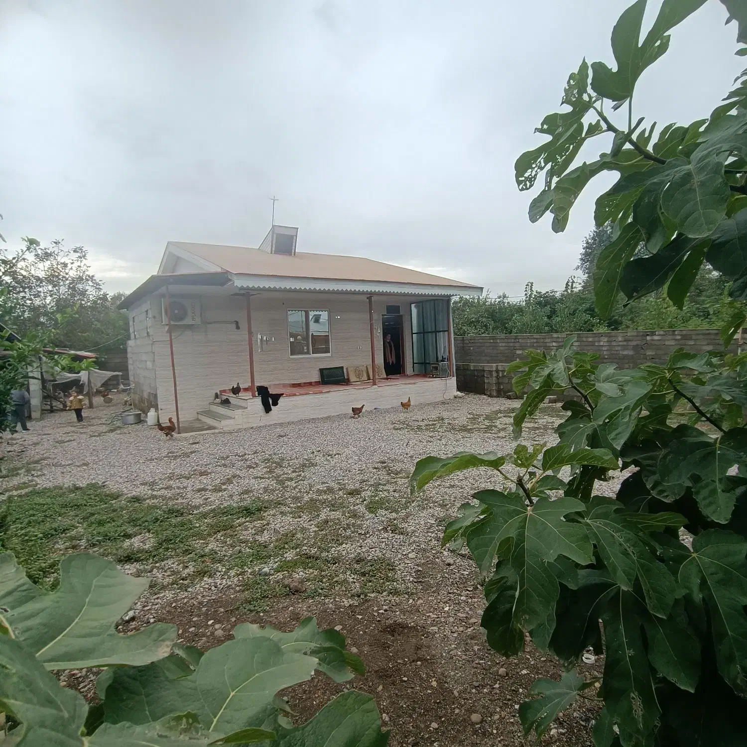 ویلای ۳۹۰متری با ویوی بسیار عالی و ابدی|فروش خانه و ویلا|رضوانشهر, |دیوار