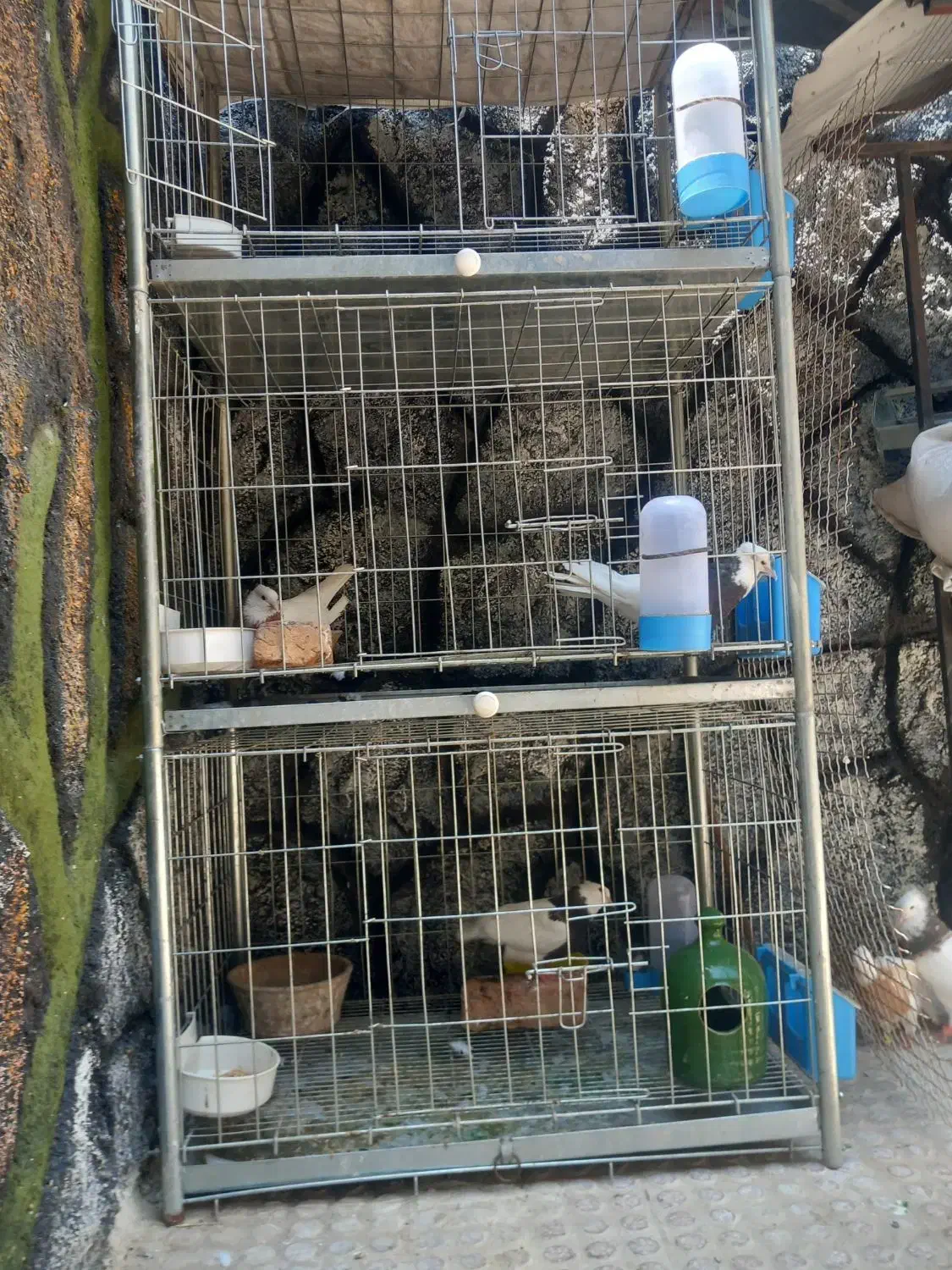 فروش تعدادی قفس جفت کن .بافنس وانتی|لوازم جانبی حیوانات|اسدآباد, |دیوار