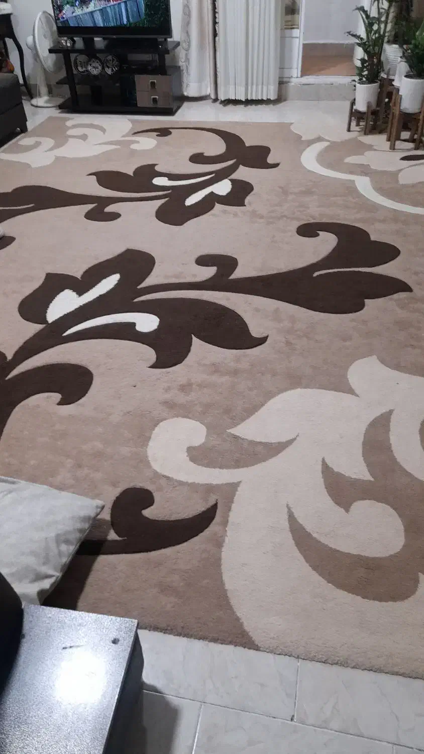 گلیم فرش۱۲متری|گلیم، جاجیم، گبه|گرگان, |دیوار