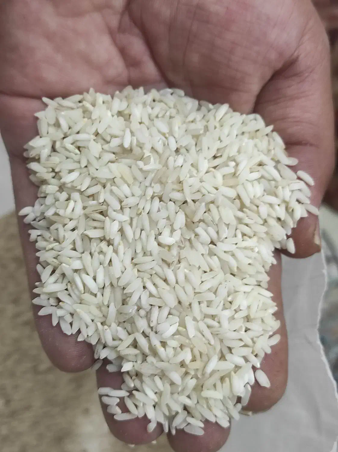 برنج عنبربو معطر درجه یک|خوردنی و آشامیدنی|تهران, مسعودیه|دیوار