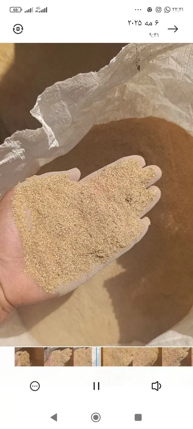 دوکوب پوست چلتوک|عمدهفروشی|درودزن, |دیوار