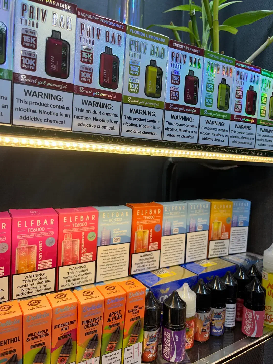 سالت و جویس، نوسو و ترا|زیورآلات و اکسسوری|رشت, ترمینال|دیوار