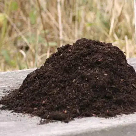 کود گوسفندی|خدمات باغبانی و درختکاری|آباده, |دیوار