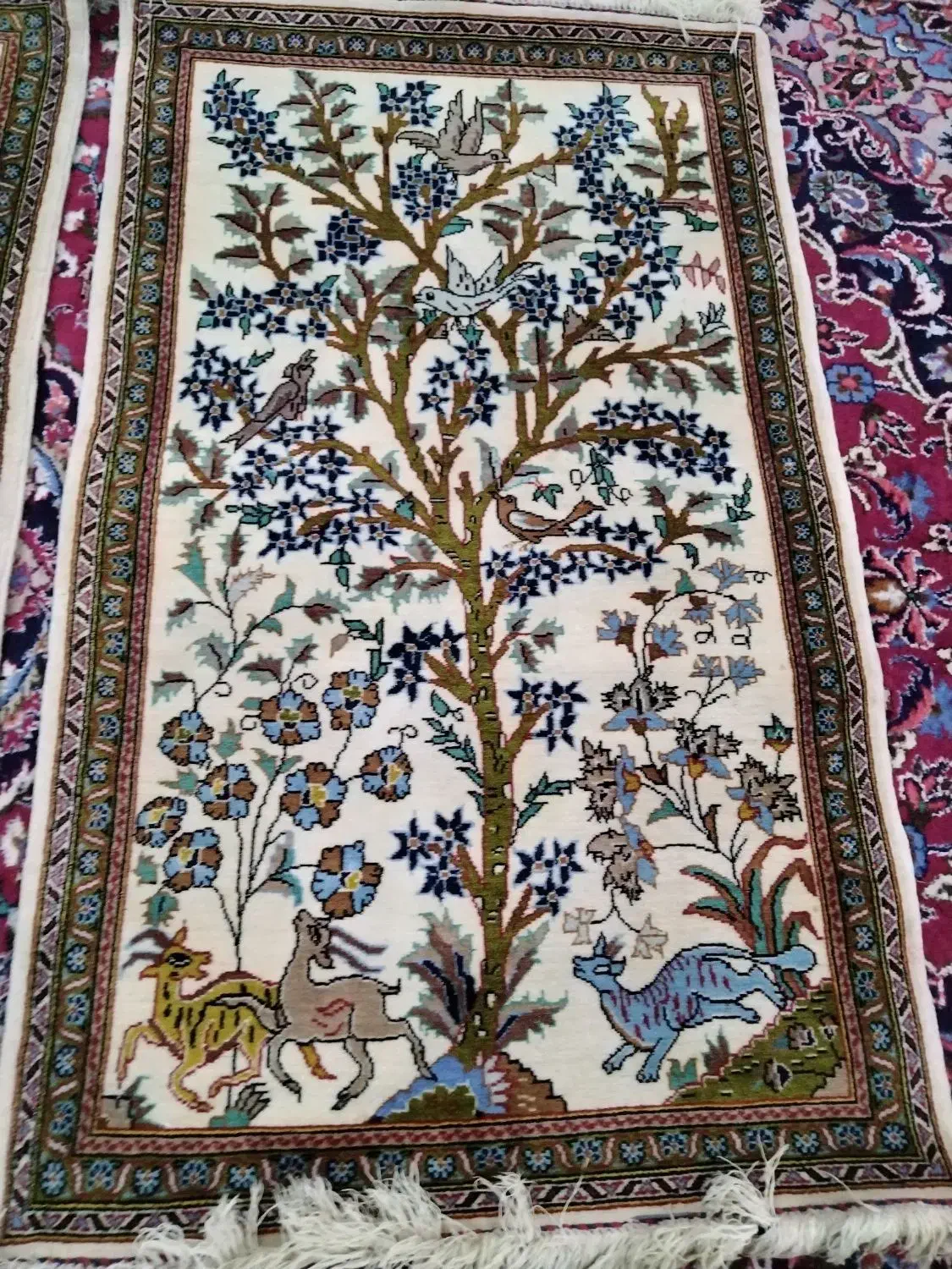 دو عدد قالیچه دستبافت|فرش|تربتحیدریه, حسنی بالا|دیوار