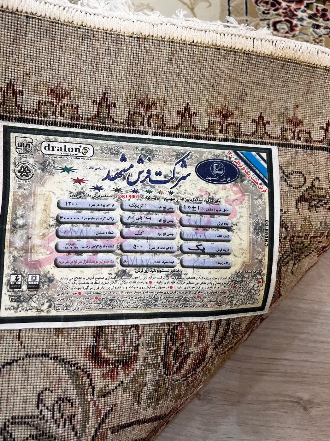 چهار عدد فرش مشهد|فرش|رشت, کاکتوس|دیوار