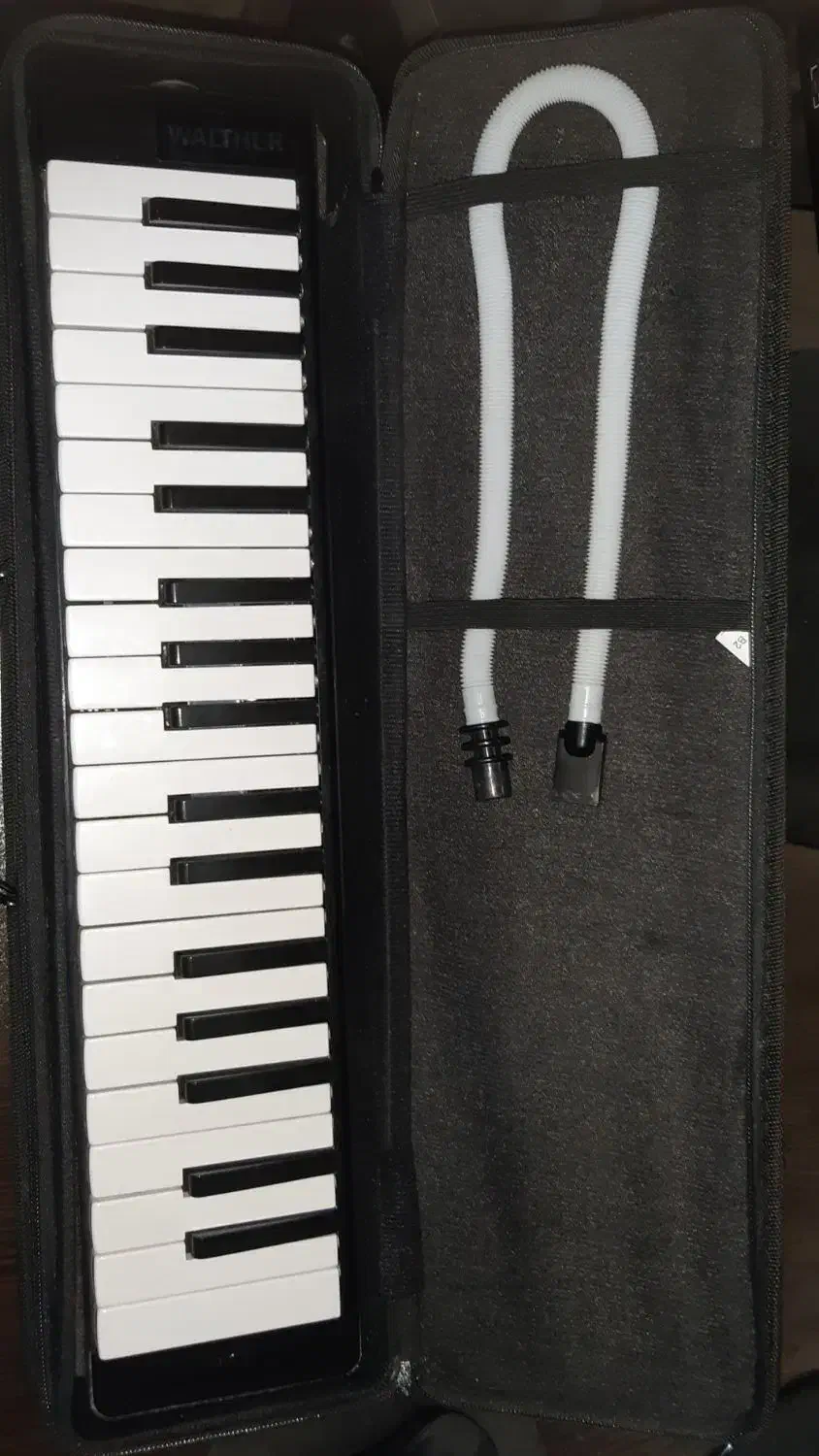 ملودیکا|گیتار، بیس، امپلیفایر|تهران, امیریه|دیوار