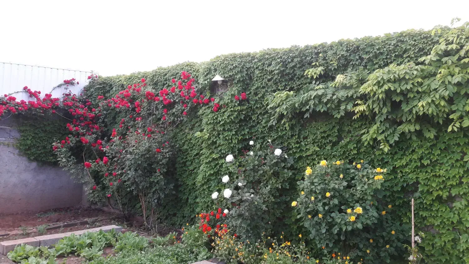 روستای شیخ رجب|فروش زمین و ملک کلنگی|خواجه, |دیوار