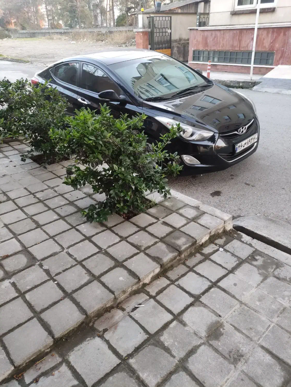 النترا 2014|خودرو سواری و وانت|رویان, |دیوار