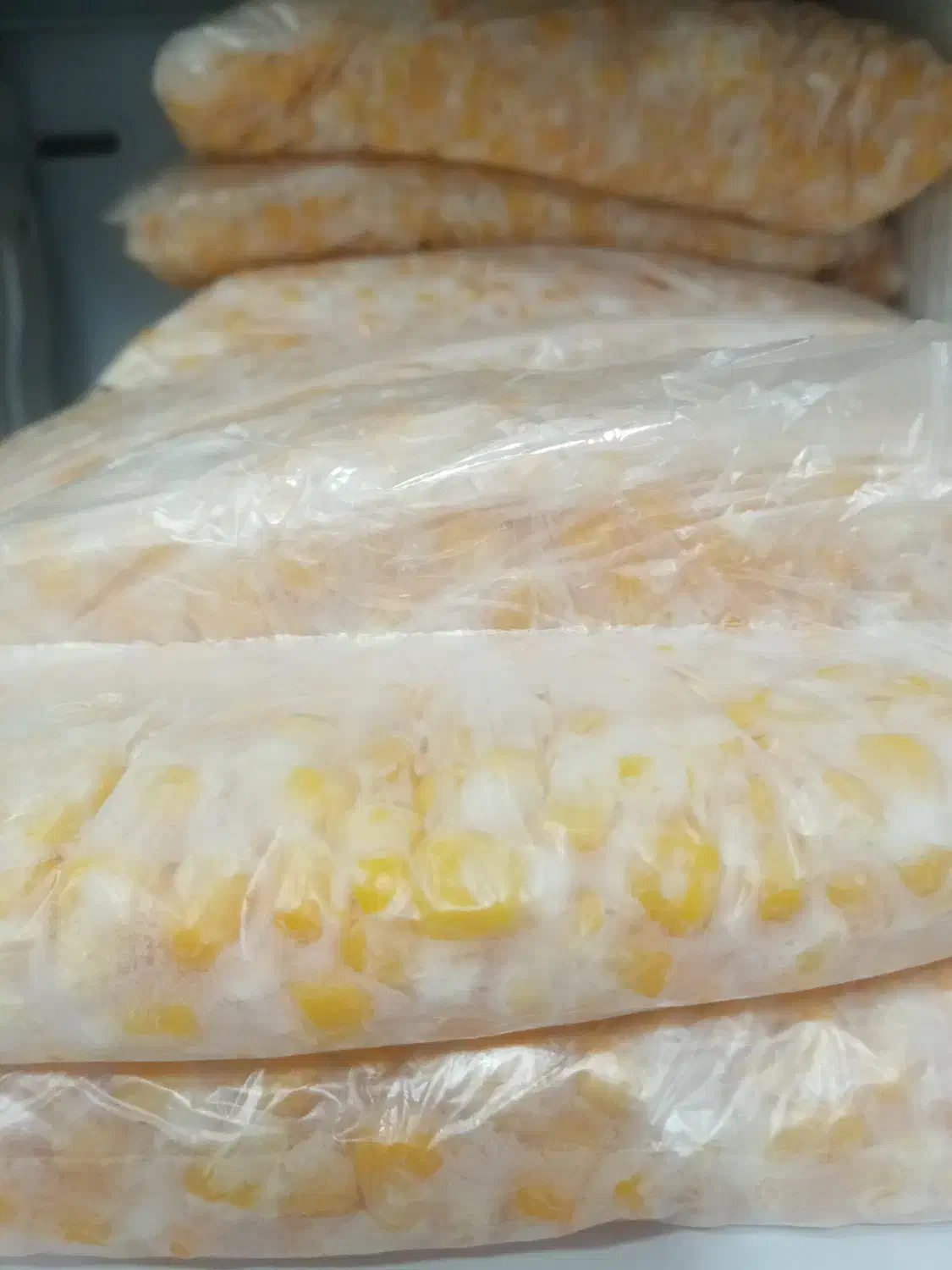 ذرت مکزیکی درجه یک|خوردنی و آشامیدنی|نجف‌آباد, سعدی|دیوار