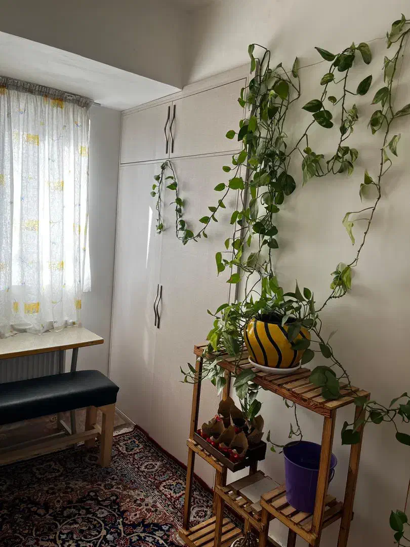 فروش واحد 82متری ارشیا|فروش آپارتمان|هشتگرد, شهرک مهستان ۱|دیوار